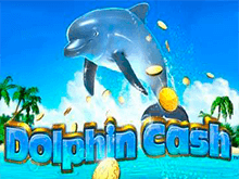 Dolphin Cash