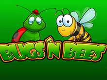 Bugs and Bees